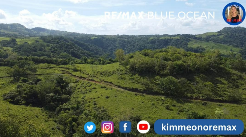 121 acres in Blue Zone - Comfort & Productivity in one place