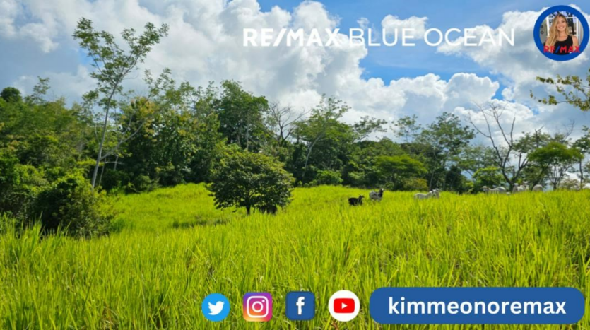 Costa Rica Real Estate