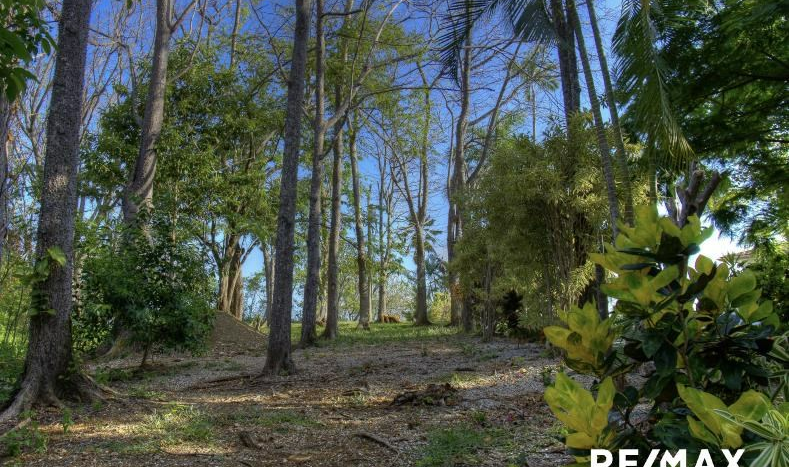 Costa Rica Real Estate