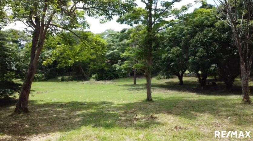 Costa Rica Real Estate
