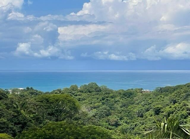 Nosara jungle beach view