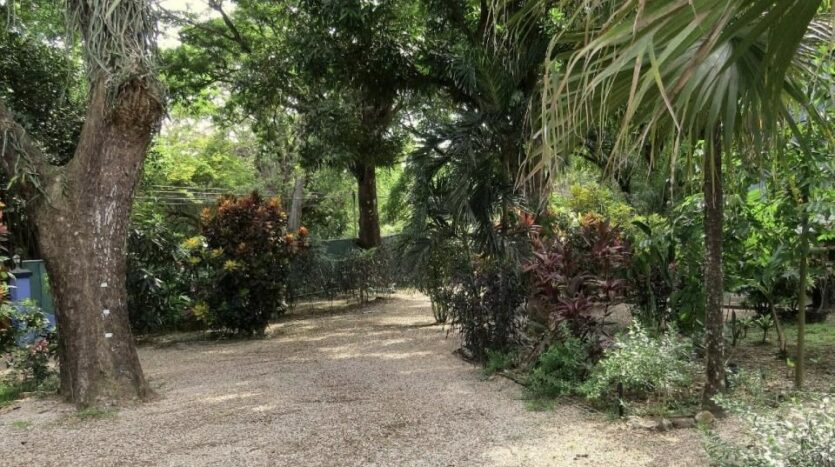 Costa Rica Real Estate