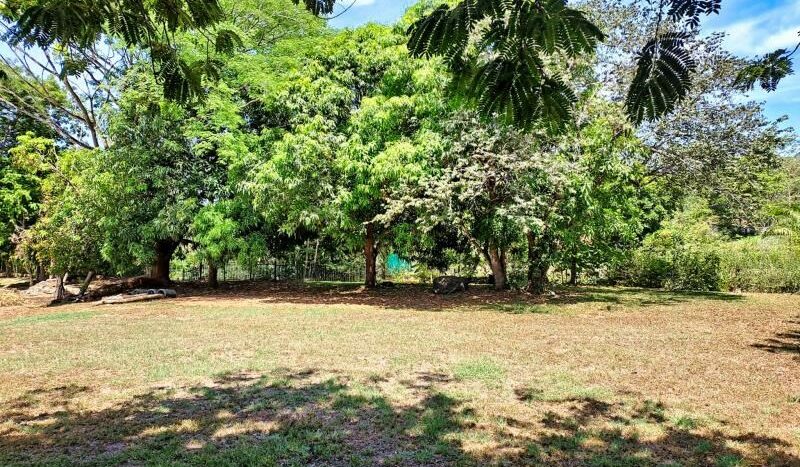 Solid 2 Bedroom Wood Cabin Rental Property with Private Pool and Waterfall Feature