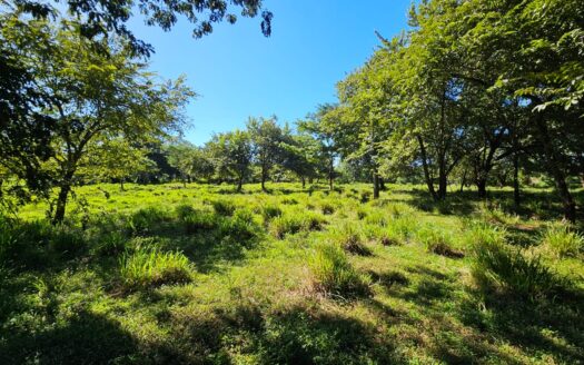2 Hectares Awaiting for Imaginative Developers