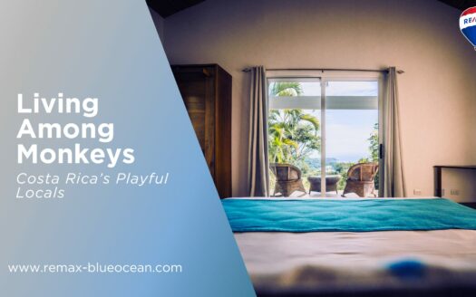 moving to Samara Costa Rica