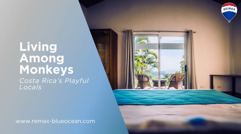 moving to Samara Costa Rica