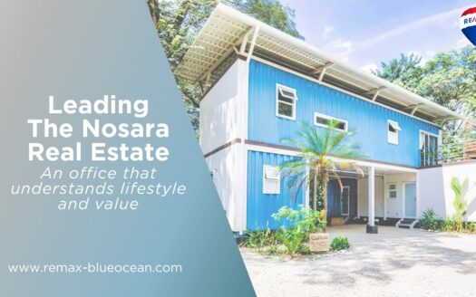 Leading The Nosara Real Estate