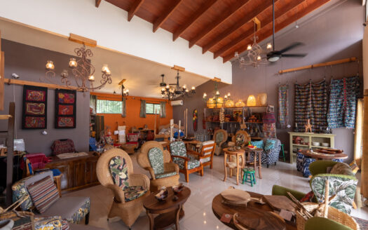🌟  Custom Furniture Store in Costa Rica:  Business opportunity