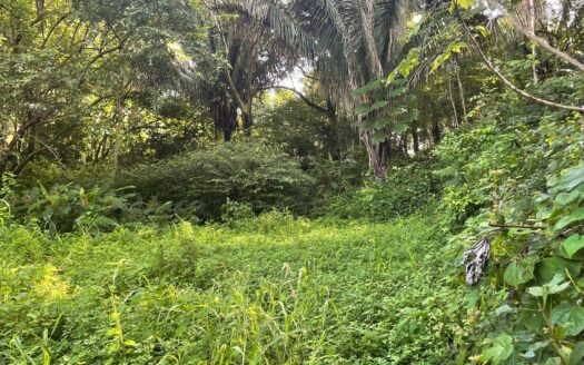 LOT TIA in Samara Woods – Unique Opportunity under $25/m² Near Playa Sámara