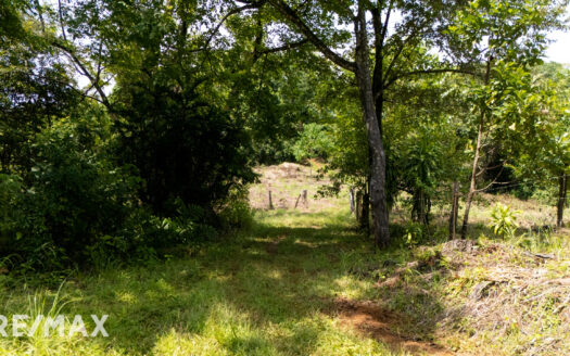 DEVELOPERS PARADISE- 65 ACRES OCEAN VIEW – PLAYA OSTIONAL