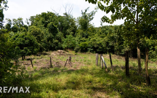 DEVELOPERS PARADISE- 65 ACRES OCEAN VIEW – PLAYA OSTIONAL