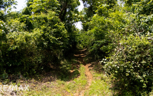 DEVELOPERS PARADISE- 65 ACRES OCEAN VIEW – PLAYA OSTIONAL