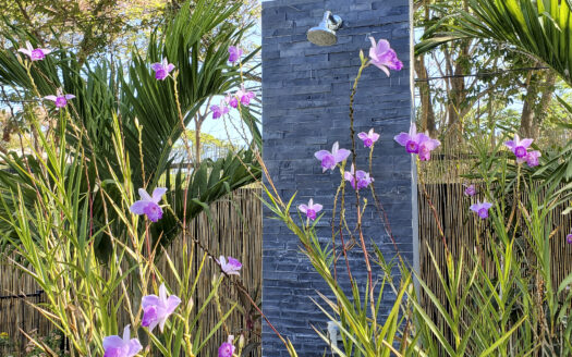 Boutique Retreat in Sámara – Multi-Unit Income Property Walking Distance to the Beach