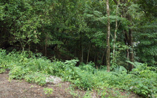 Lot Nosara, close to Bosque Verde