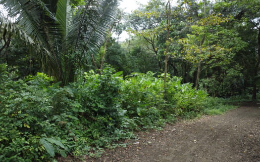 Lot Nosara, close to Bosque Verde