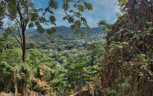 🌴 Premium Ocean View Development Lot close to Tierra Magnifica – Las Huacas, Nosara 🇨🇷