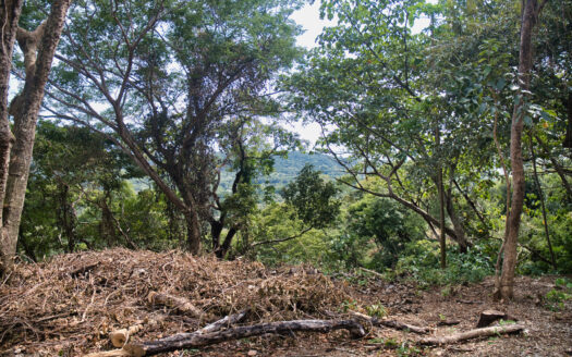 🌴 Unique Opportunity : Ocean and Jungle View Lot in Las Huacas close to Tierra Magnifica