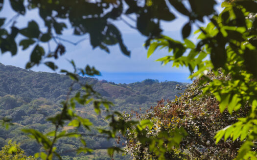 🌴 Premium Ocean View Development Lot close to Tierra Magnifica – Las Huacas, Nosara 🇨🇷