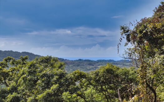 🌴 Premium Ocean View Development Lot close to Tierra Magnifica – Las Huacas, Nosara 🇨🇷