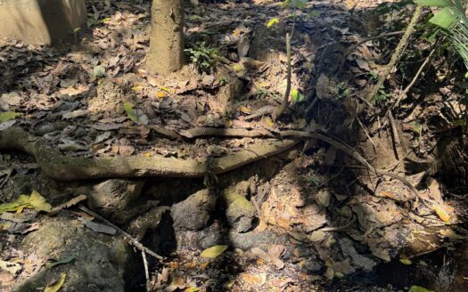 Hojancha Preciosa – 5 amazing lots in Costa Rica