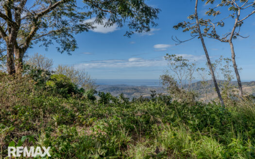 Nature First- Finca in Naranjales Mountains