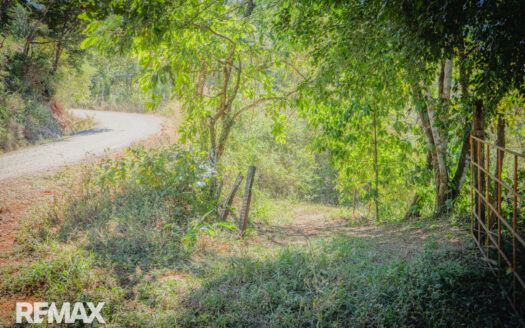 Nature First- Finca in Naranjales Mountains