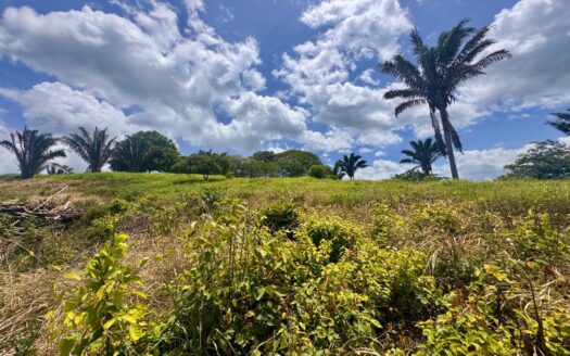 Exceptional 1.42-Acre Ocean View Building Lot for Sale | Panoramic Views of Sámara & Carrillo Bays | Costa Rica