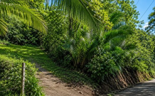 Private Mountain Farm with Creek in San Juanillo