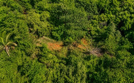 Private Mountain Farm with Creek in San Juanillo