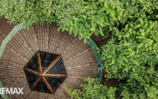 Finca San Juanillo: 100 hectare Regenerative Mountain & River Estate