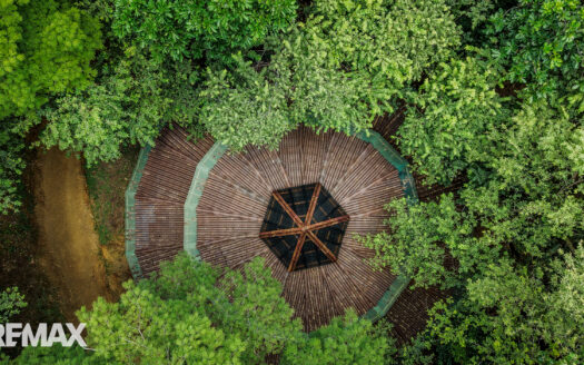 Finca San Juanillo: 100 hectare Regenerative Mountain & River Estate